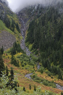 Mountain Stream by Philip McCrain