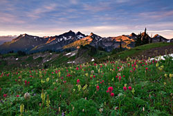 Tatoosh Splendor by Kevin Pieper